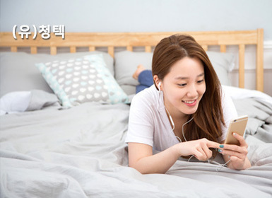 청텍